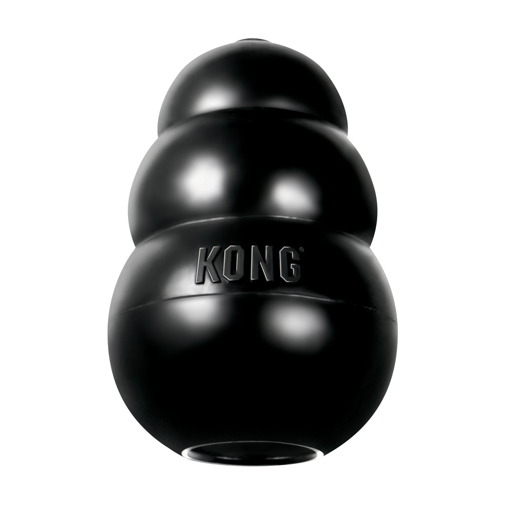 KONG Extreme Dog Toy