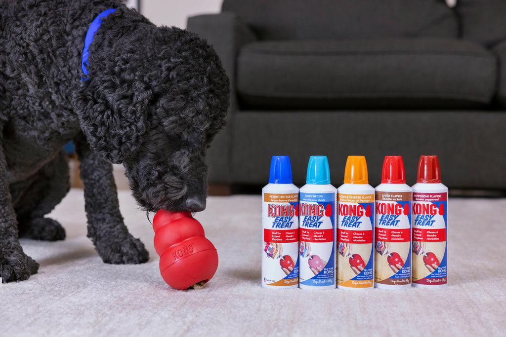 KONG Easy Treat Dog Treats