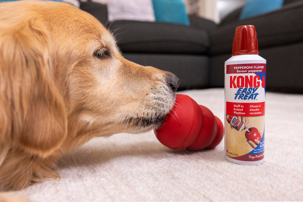 KONG Easy Treat Dog Treats