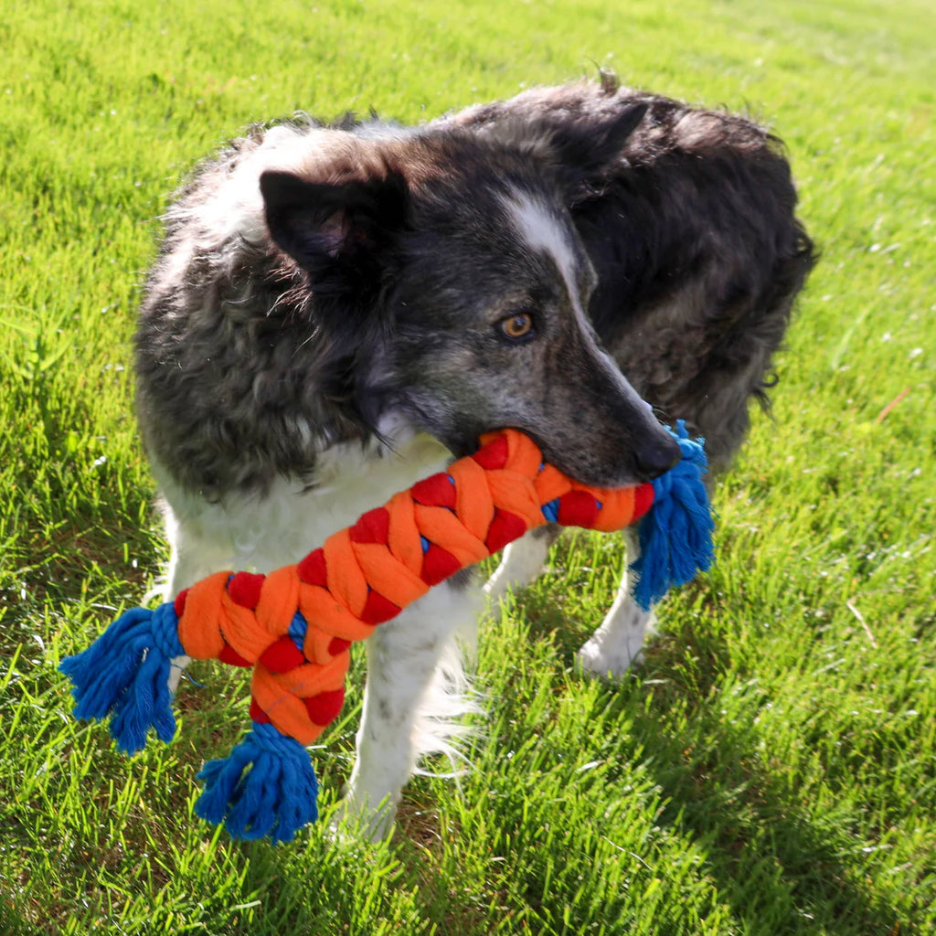 KONG Rally Rope Dog Toy