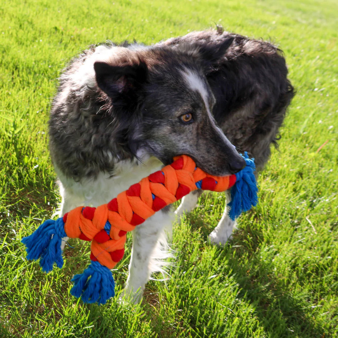 KONG Rally Rope Dog Toy