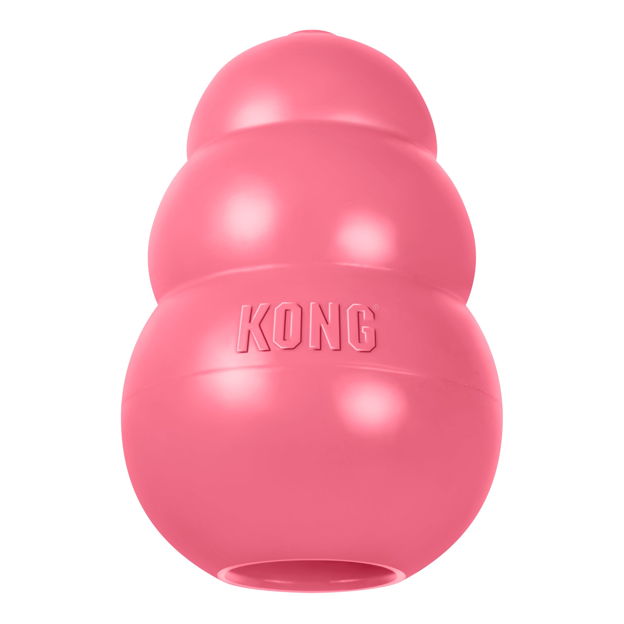 KONG Puppy - Dog Toy