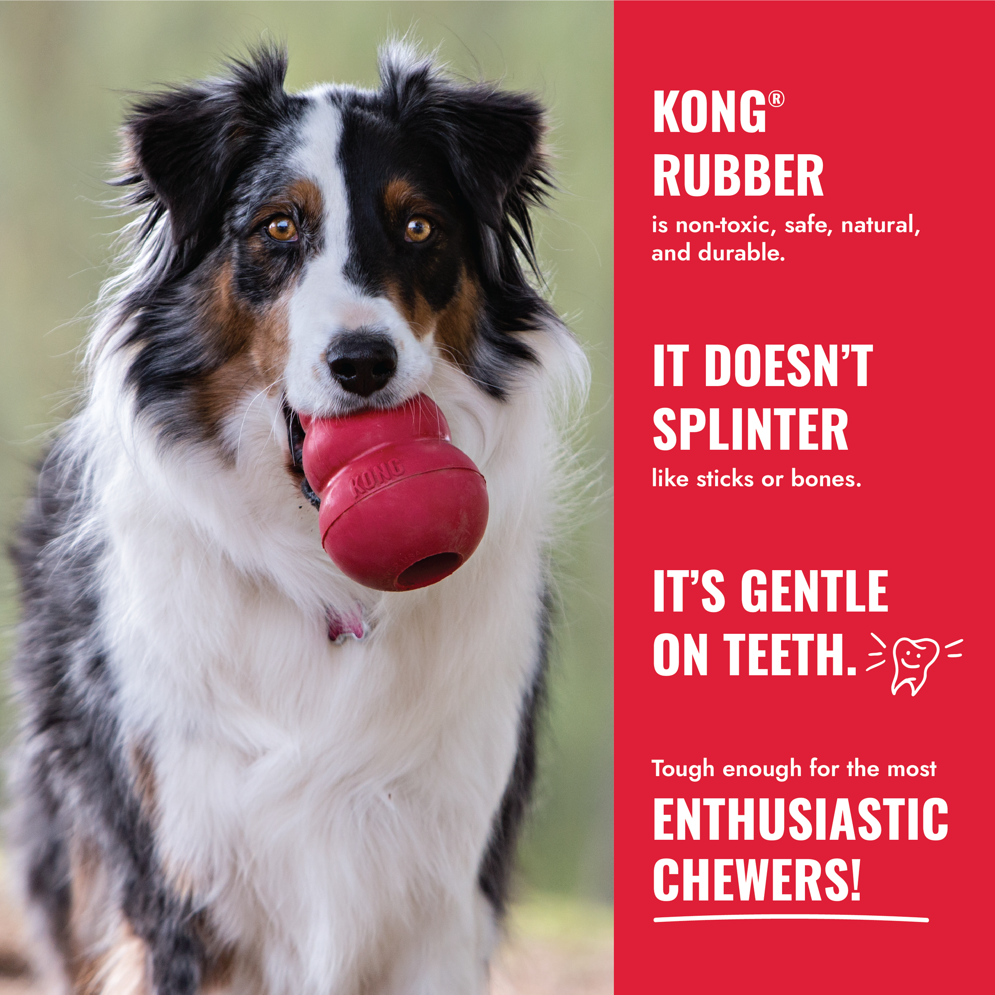 KONG Classic Dog Toy