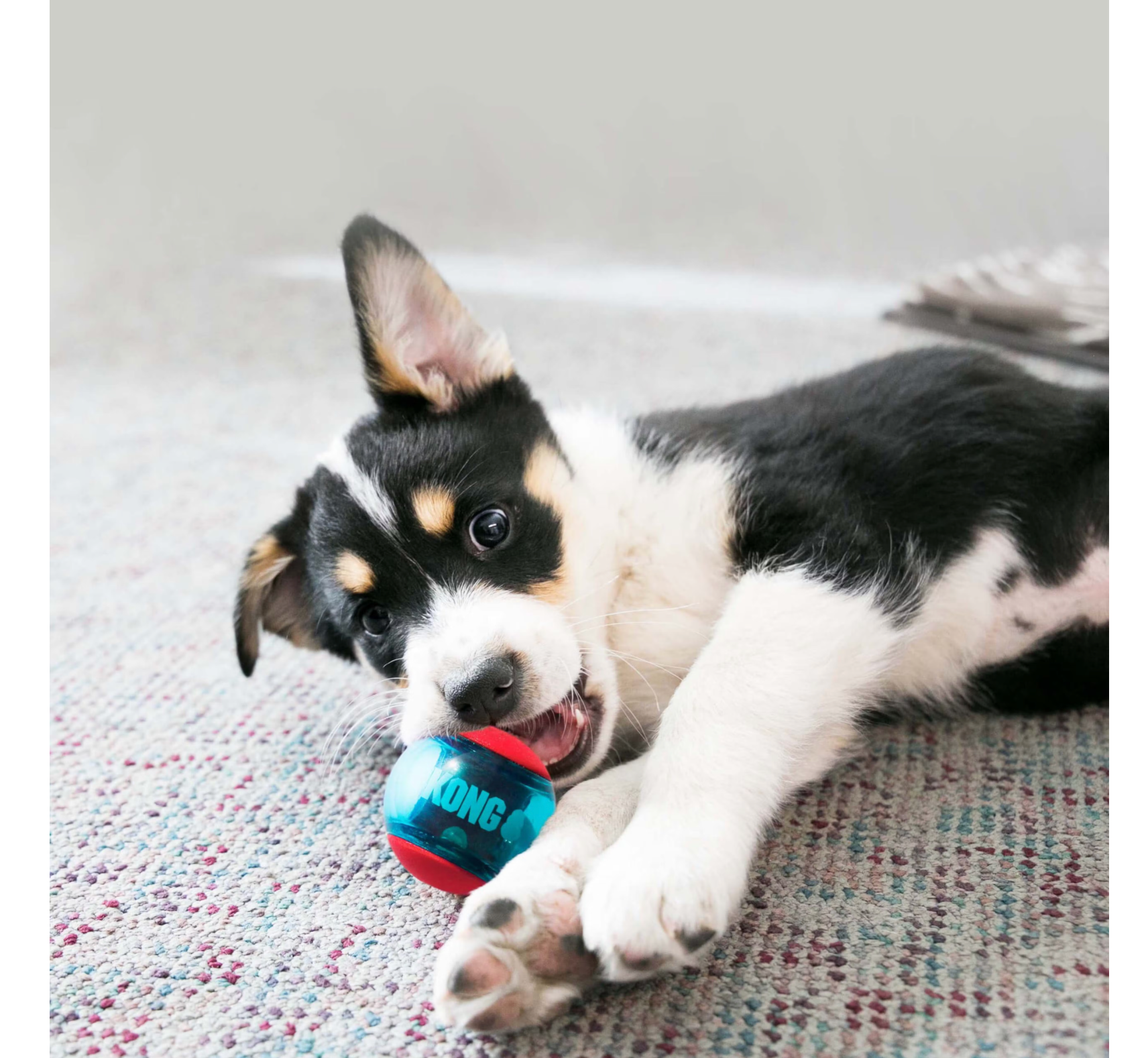 Kong Squeezz Action Red Ball