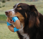 Kong Core Strength Bone with dog