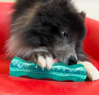 Kong Dental Squeezz with dog