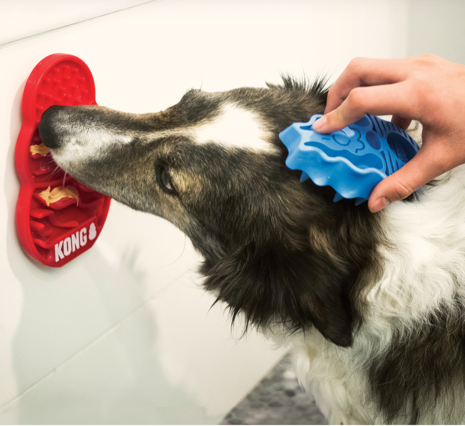 Kong Licks Treat Dispenser with dog