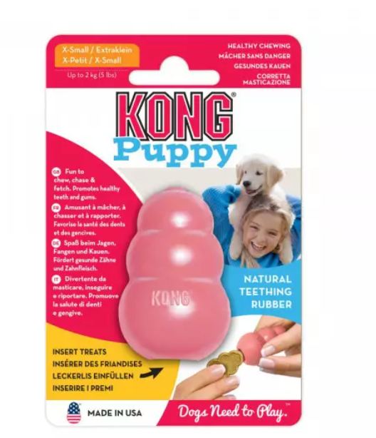 Kong Puppy