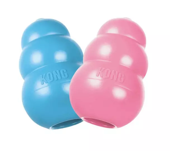 Kong Puppy 