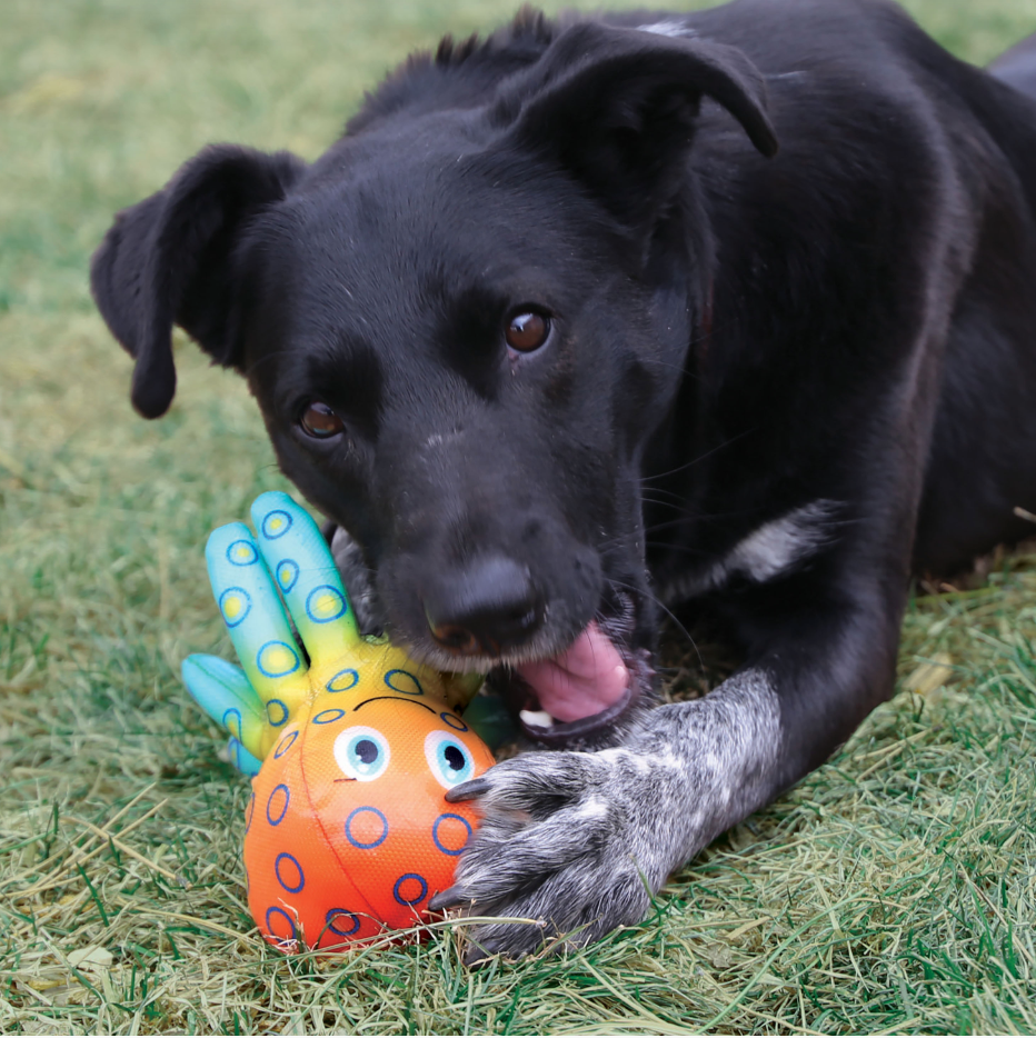 Kong Shieldz Tropics octopus Dog toy