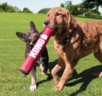Kong Signature stick with dog