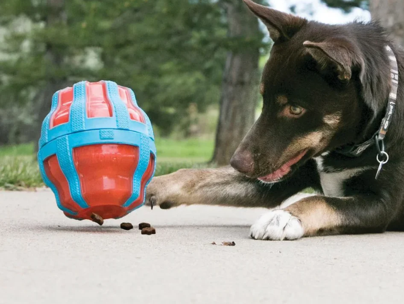 Kong_Treat_Spinner_with_dog