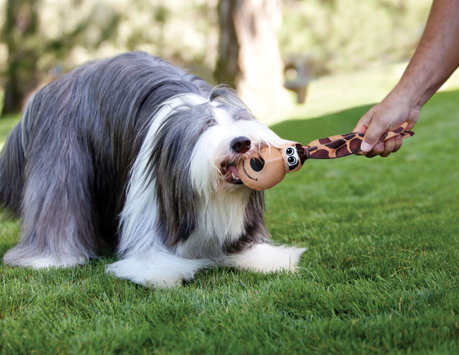 Kong Wubba Floppy Ears - Brown