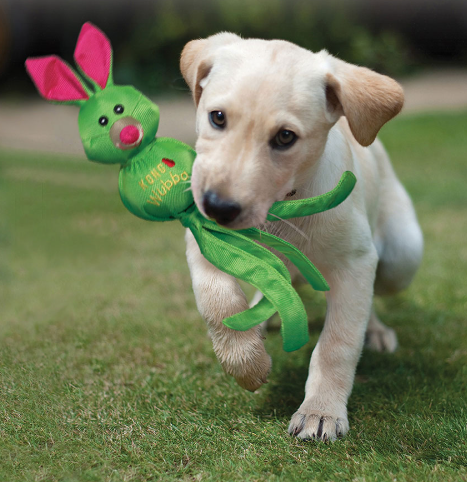 Kong_Wubba_Green_with_dog