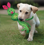 Kong_Wubba_Green_with_dog