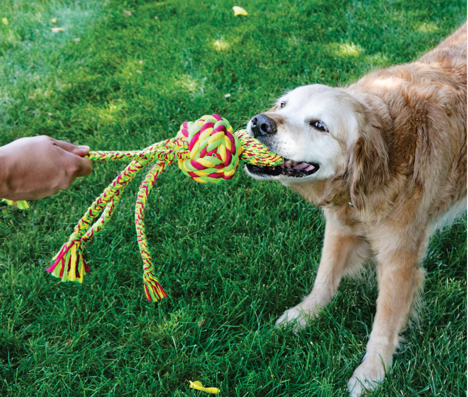 Kong Wubba weaves rope Dog Toy