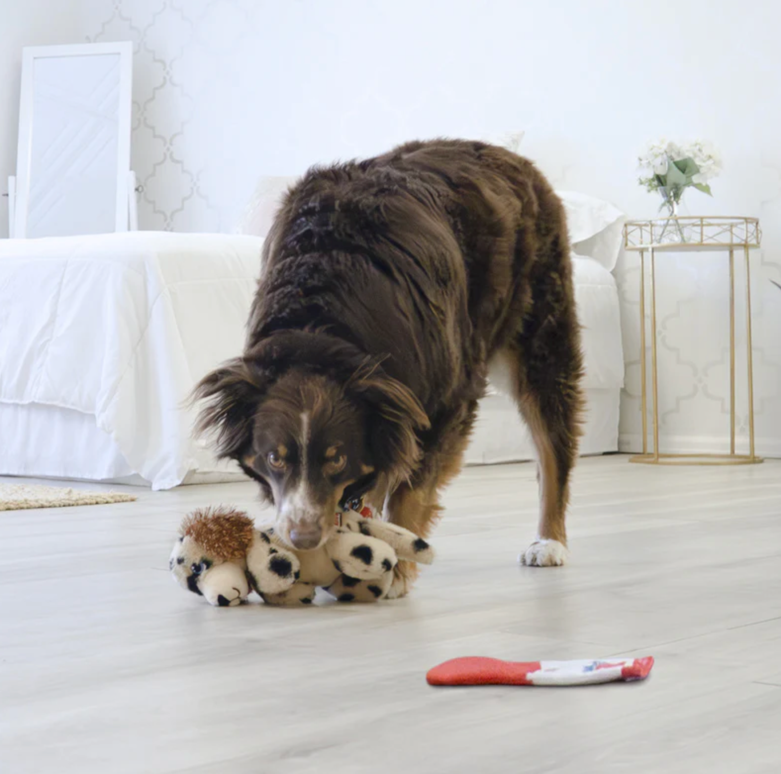 Kong Comfort Pups Spot