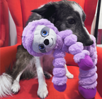 Kong shakers Sloth with Dog