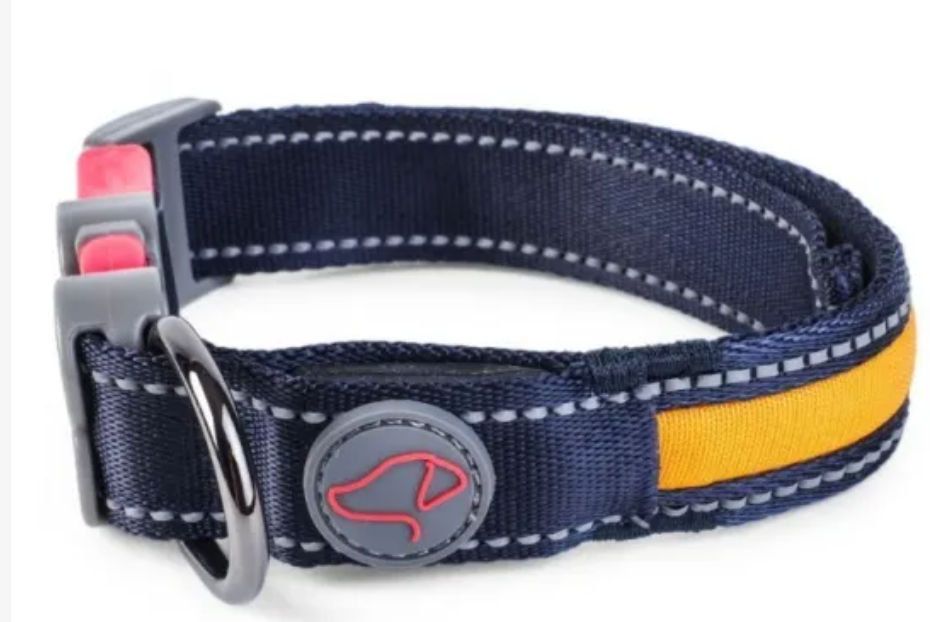 LED Dog Collar