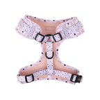 Lottie Leopard Dog Harness