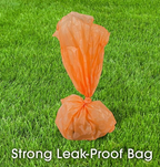 Poop Bag Pic