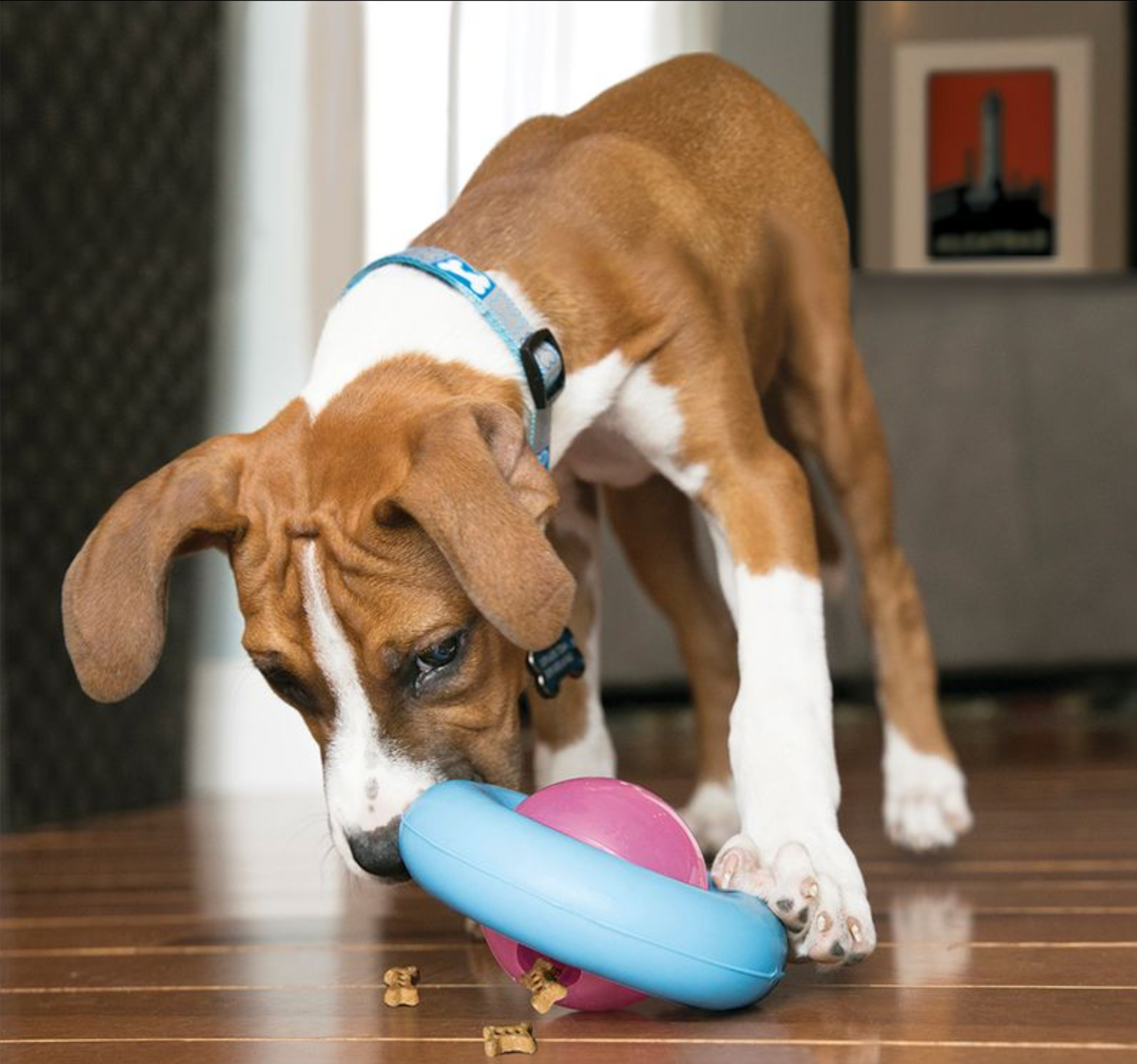 Kong Puppy Gyro Treat Dispenser