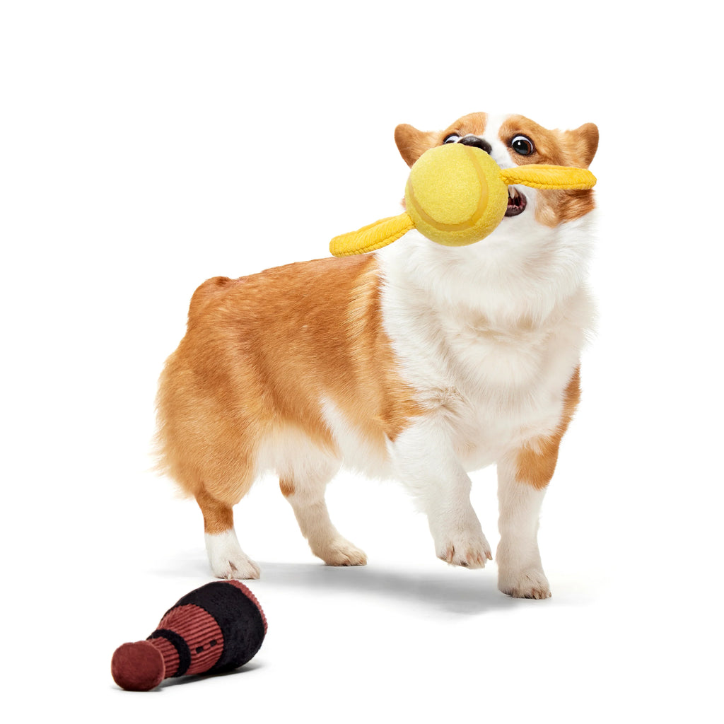 Bark Toys - Harry Potter Dog Toys