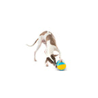 Guru Rock & Treat Dog Toy for Dogs & Puppies