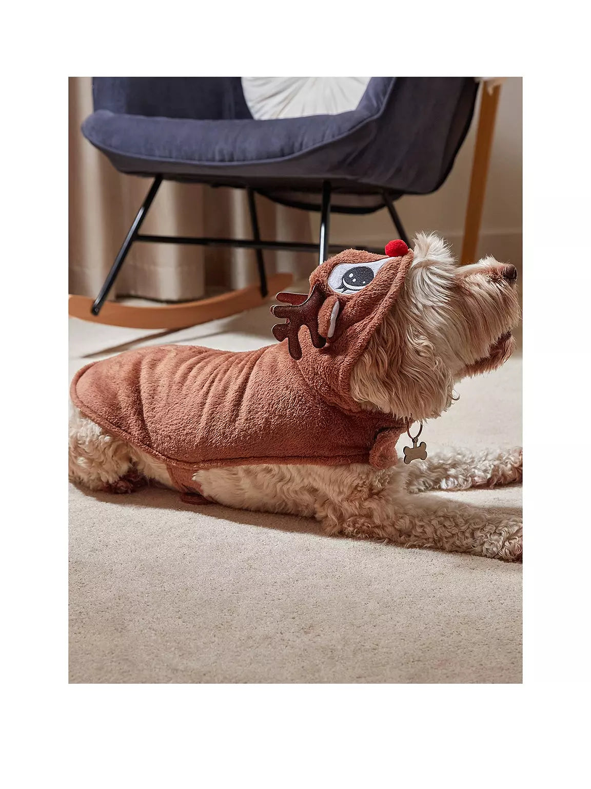 Rudy Hoodie - Christmas Hoodie