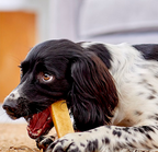 Yakers Treats and Chews