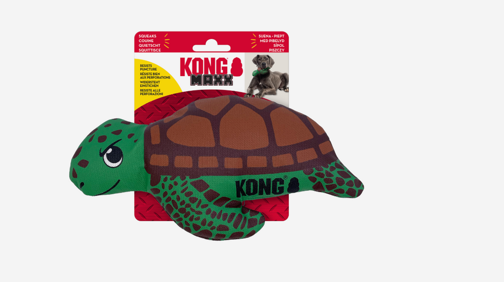 Kong Maxx Turtle