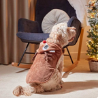 Rudy Hoodie - Christmas Hoodie