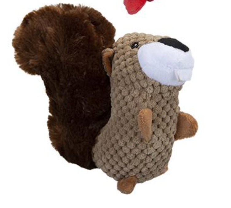 Squirrel Plush Dog Toy