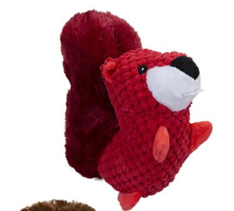 Squirrel Plush Dog Toy