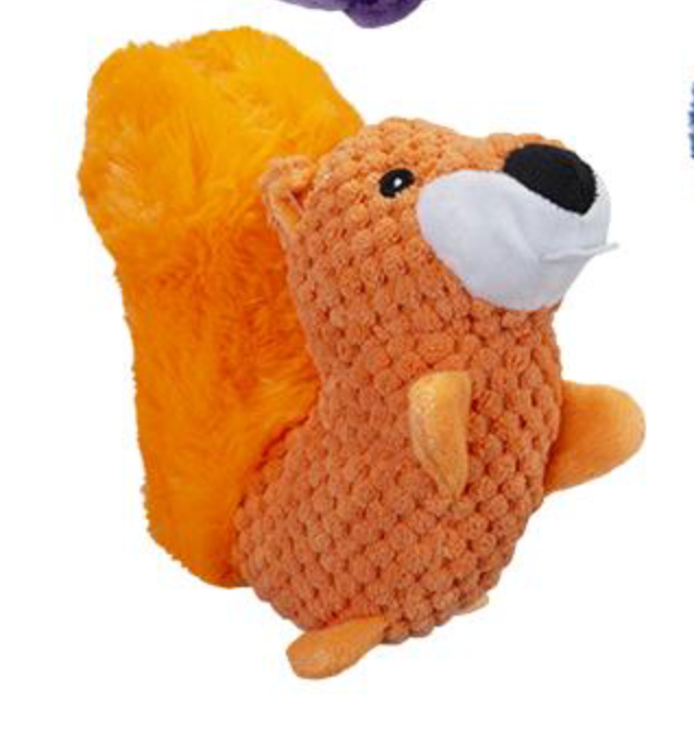 Squirrel Plush Dog Toy