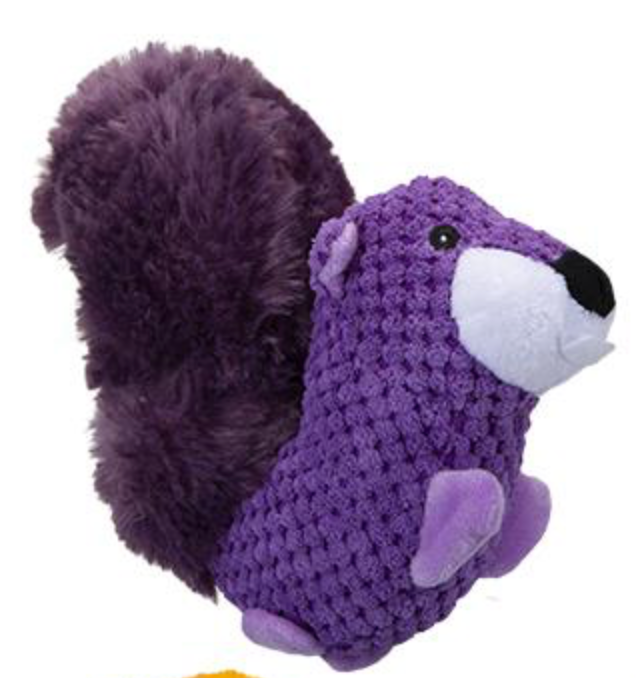 Squirrel Plush Dog Toy
