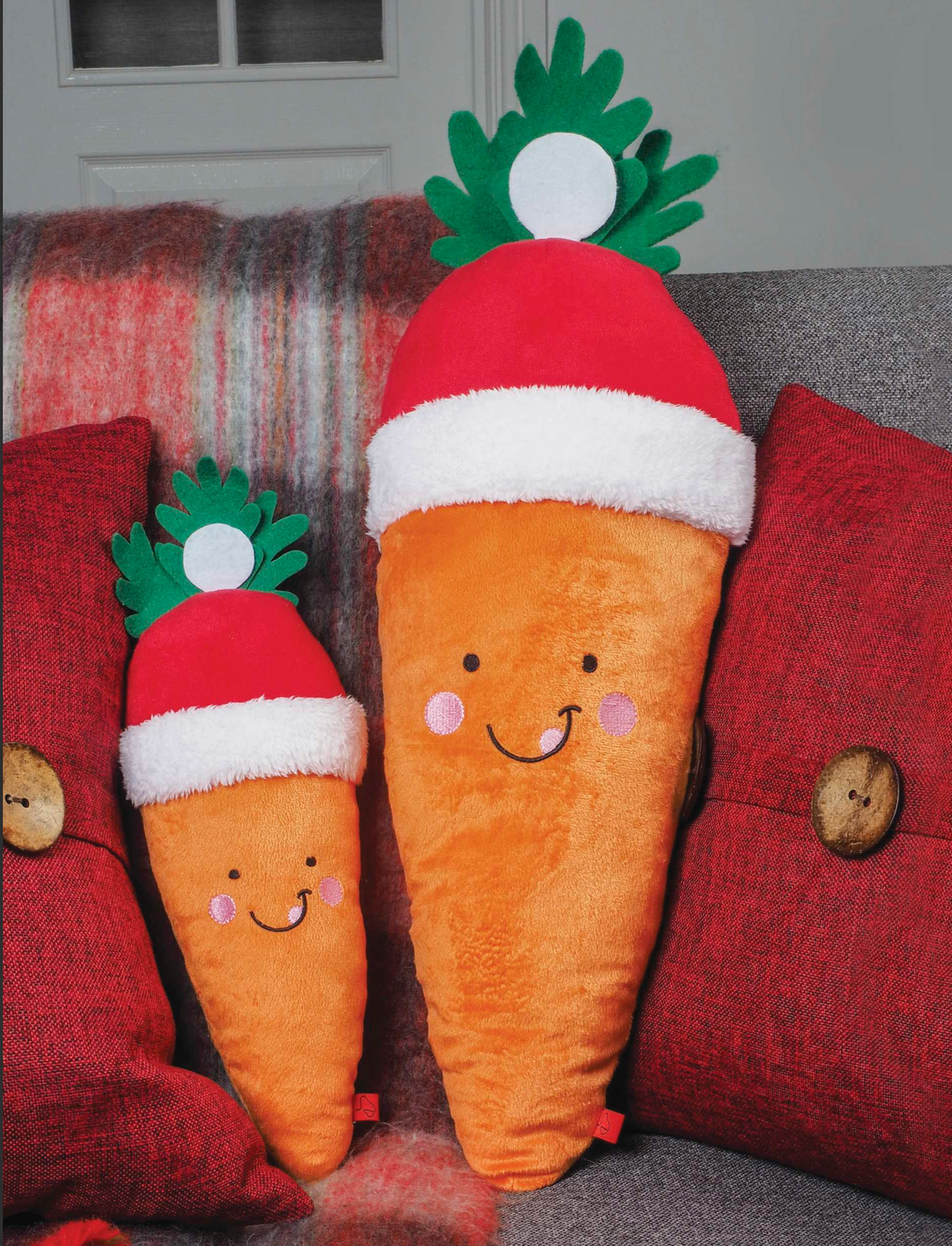 Christmas Santa Carrot
