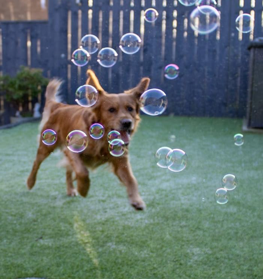 Meaty Licks Bubbles