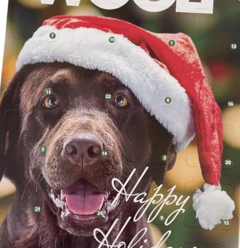 Woolf Christmas Advent Calendar for Dogs & Puppies