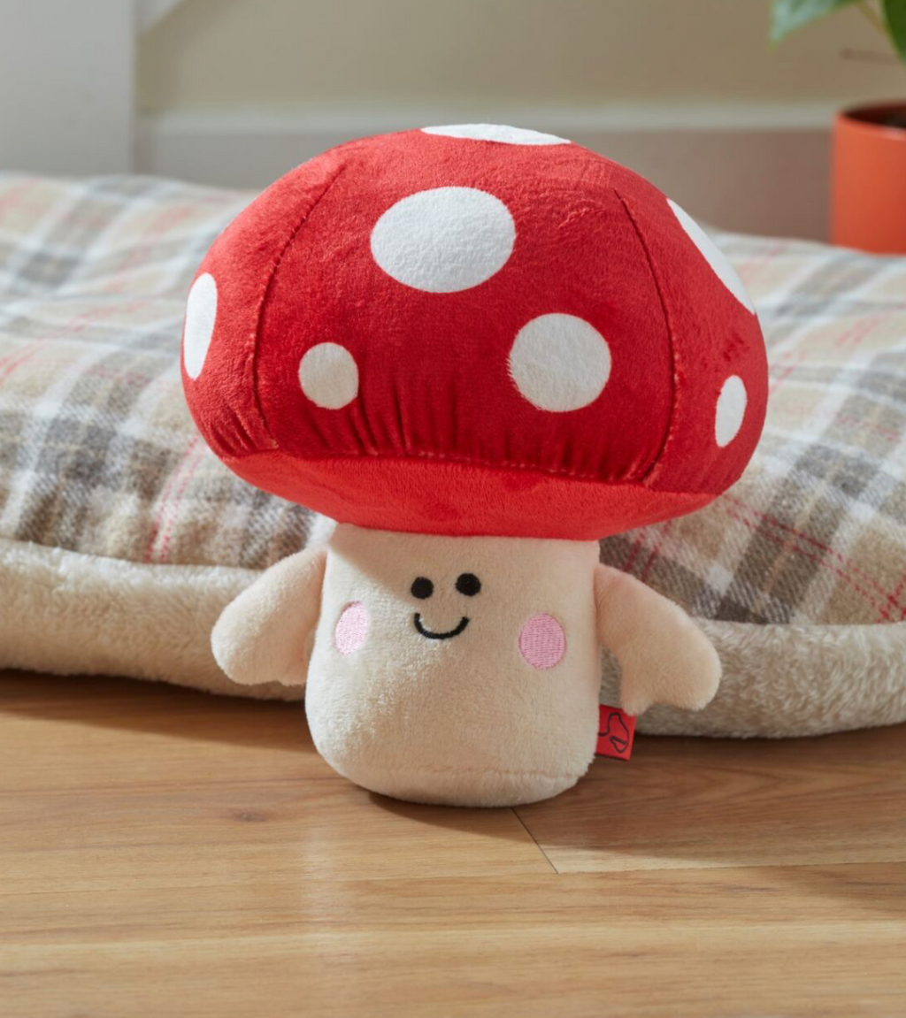 Mushroom PlayPal Range