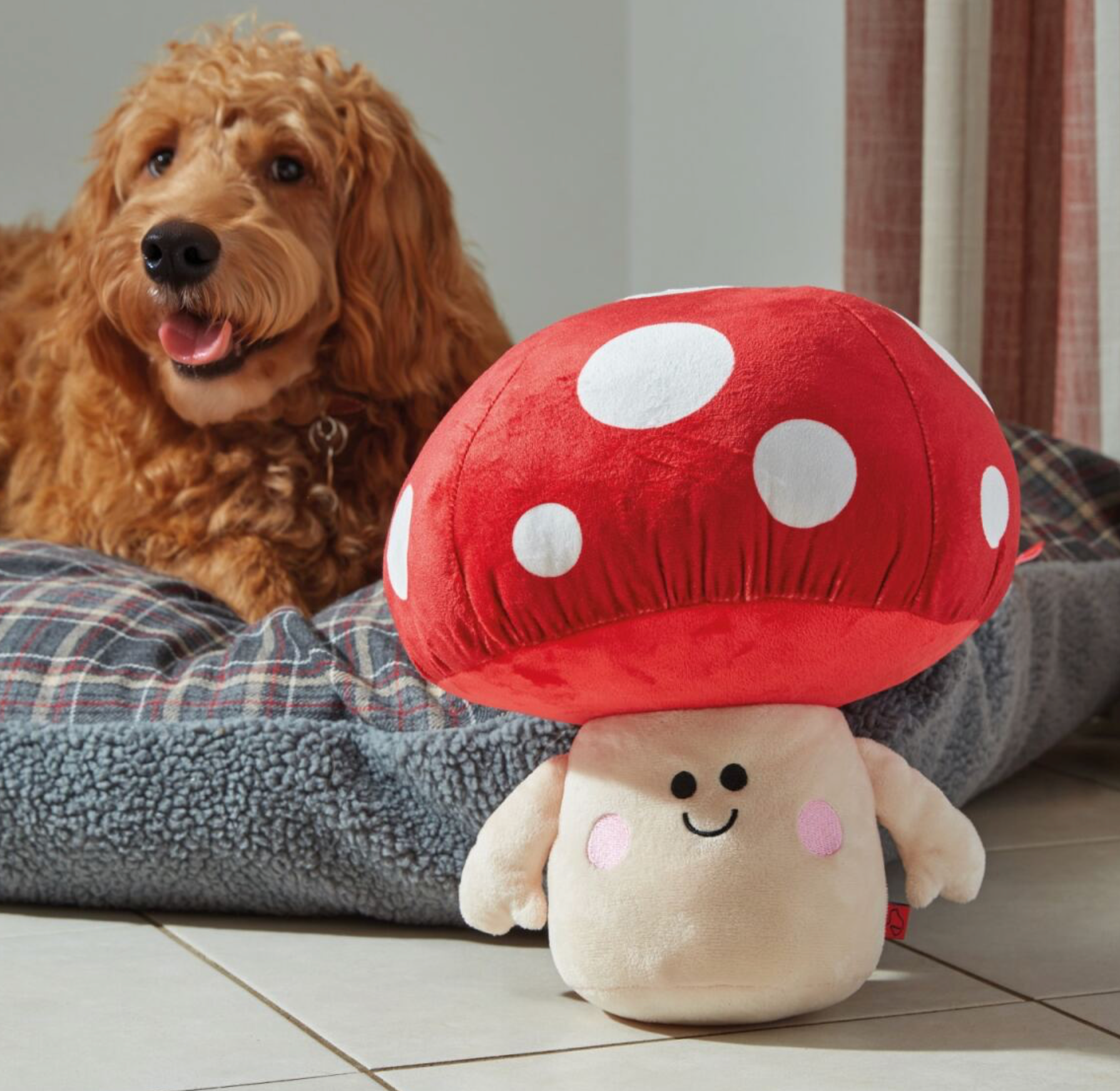 Mushroom PlayPal Range