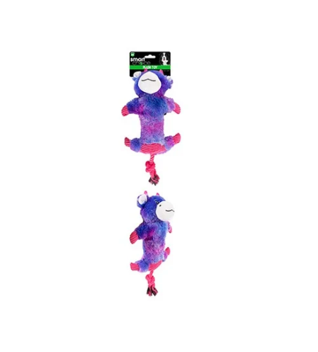 Rainbow Rope Squeaky Dog Toy