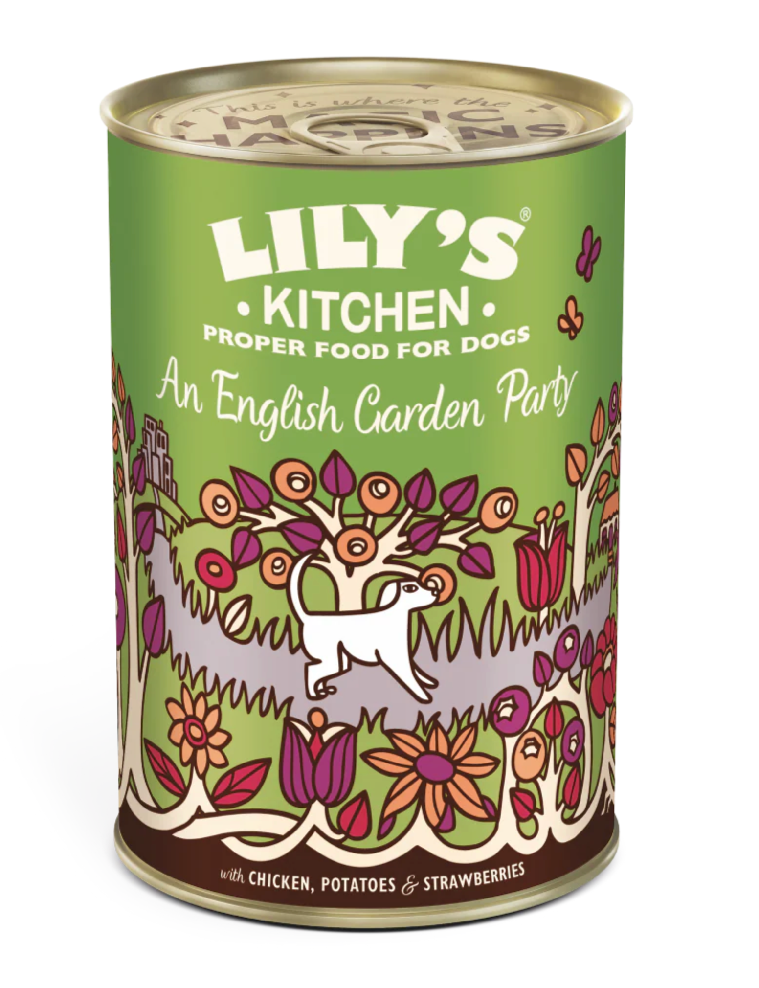 Lilys Kitchen Dog Food Range