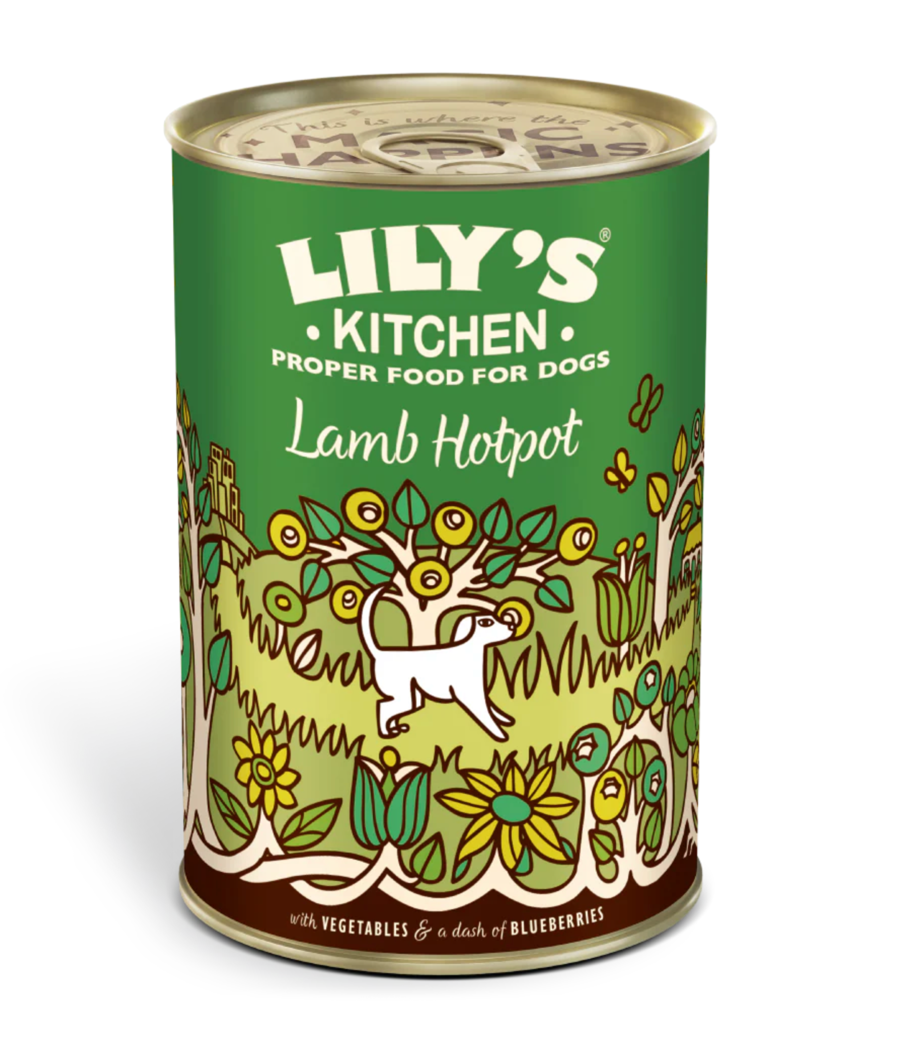 Lilys Kitchen Dog Food Range