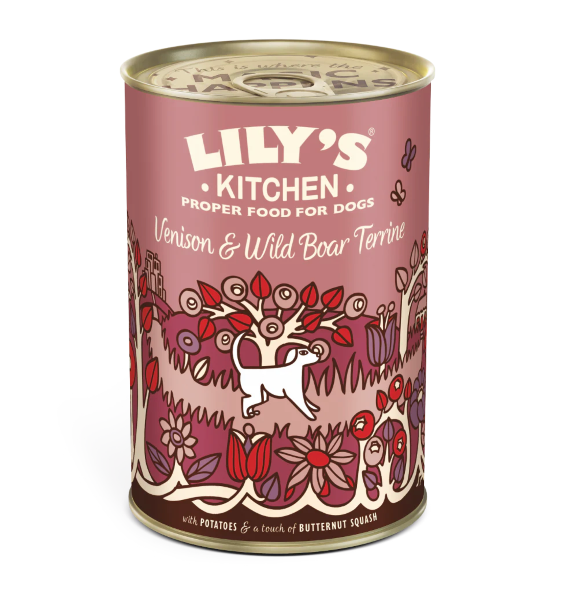 Lilys Kitchen Dog Food Range