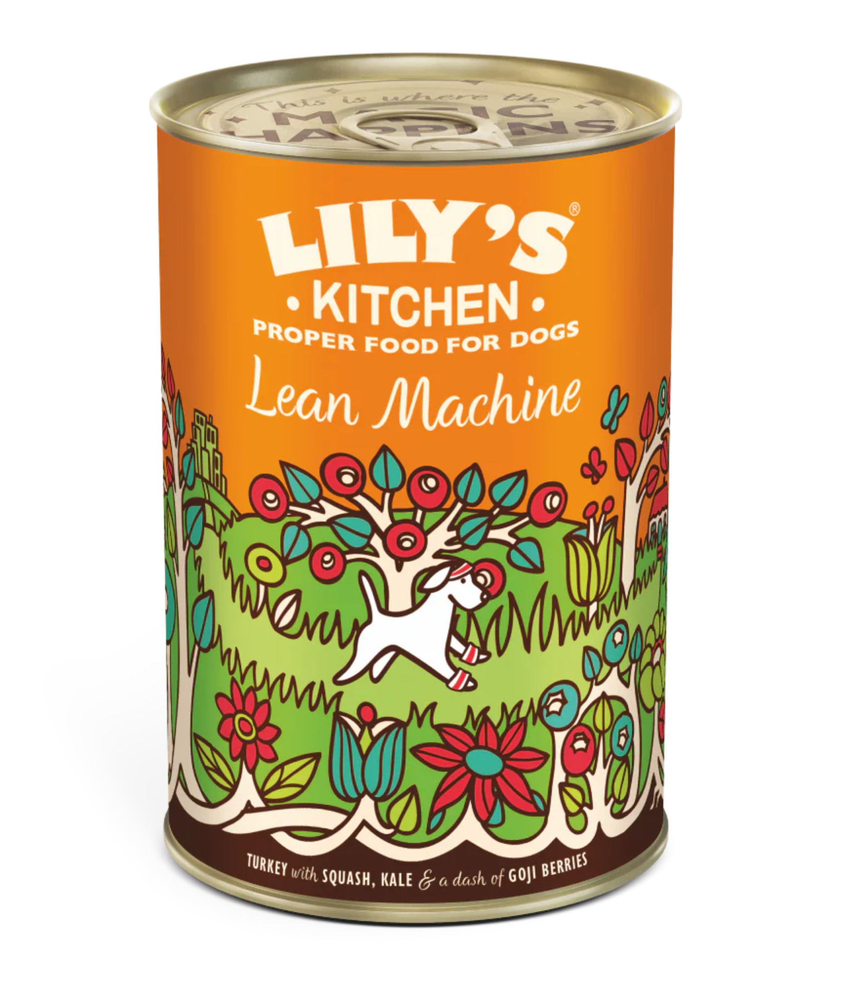Lilys Kitchen Dog Food Range