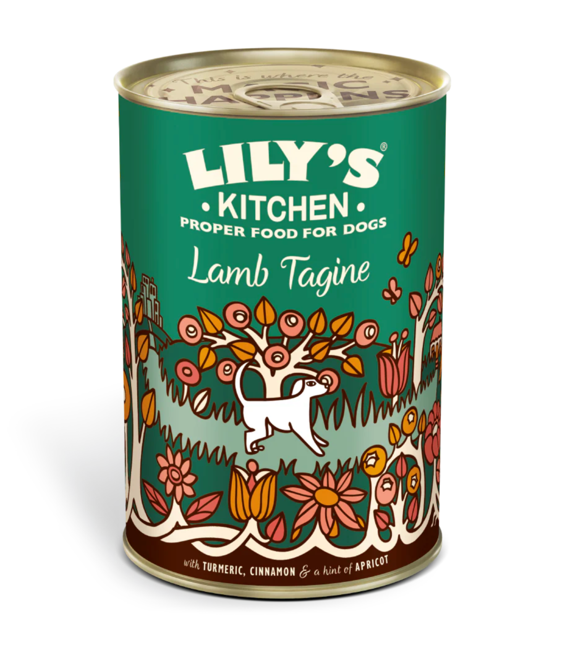 Lilys Kitchen Dog Food Range