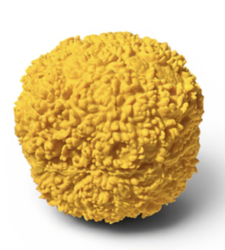 OVO Pals - Fuzzy Balls Dog Toy