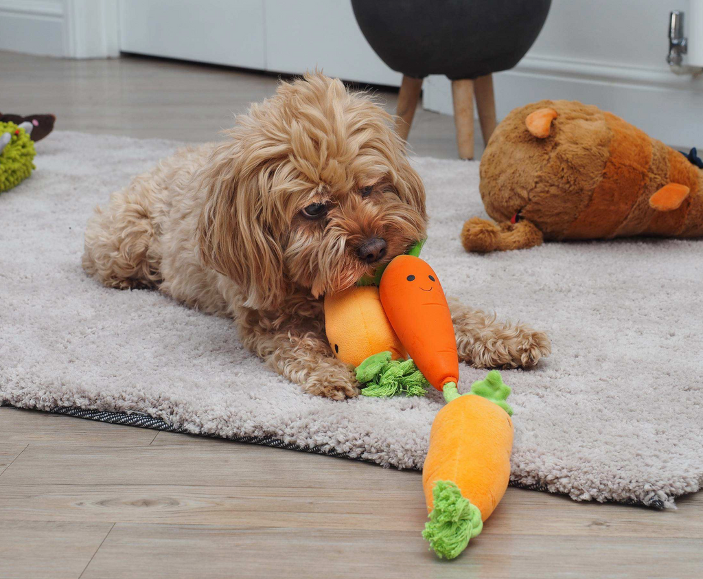Zoon Tugga Carrots Dog Toy
