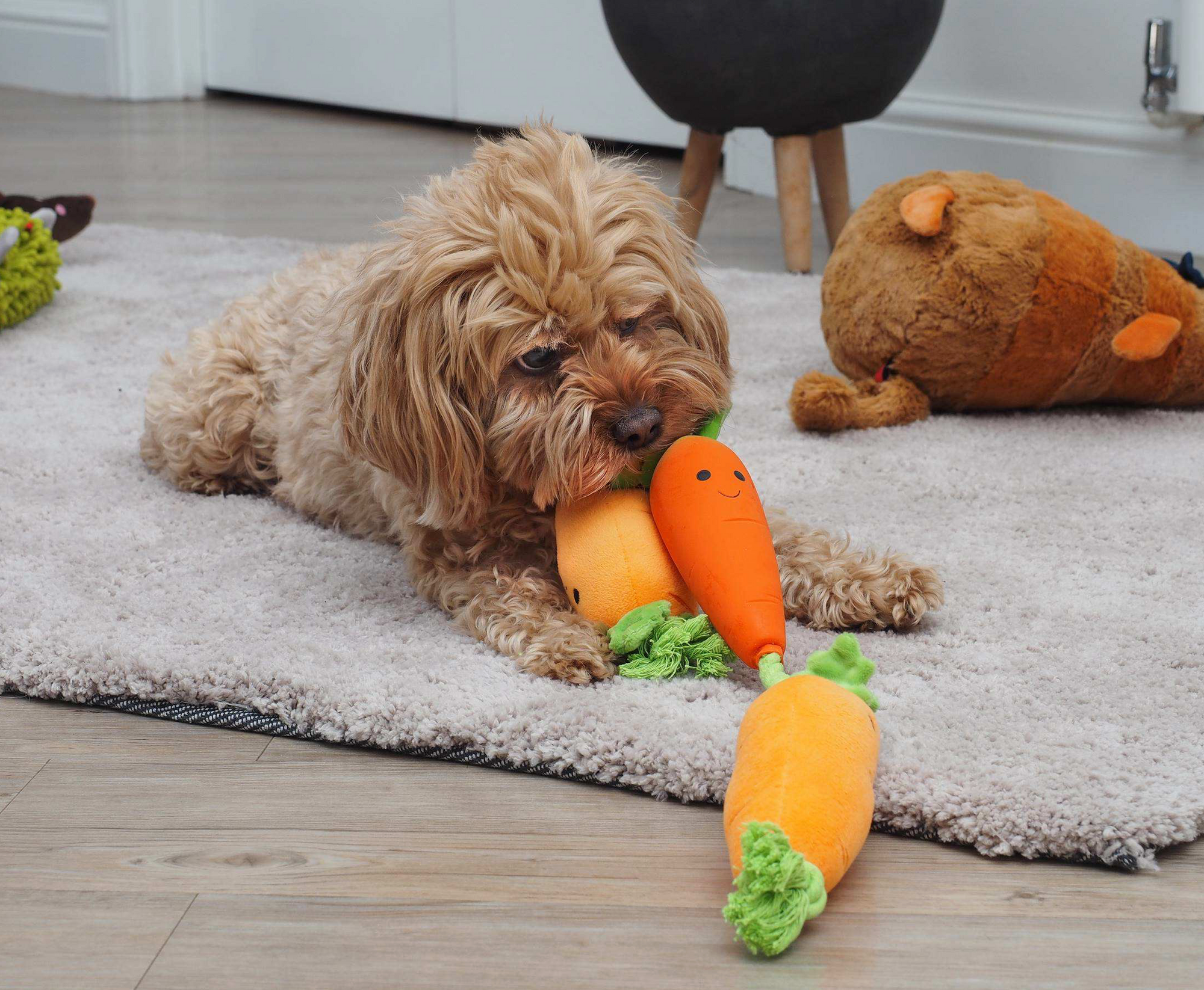 Zoon Tugga Carrots Dog Toy